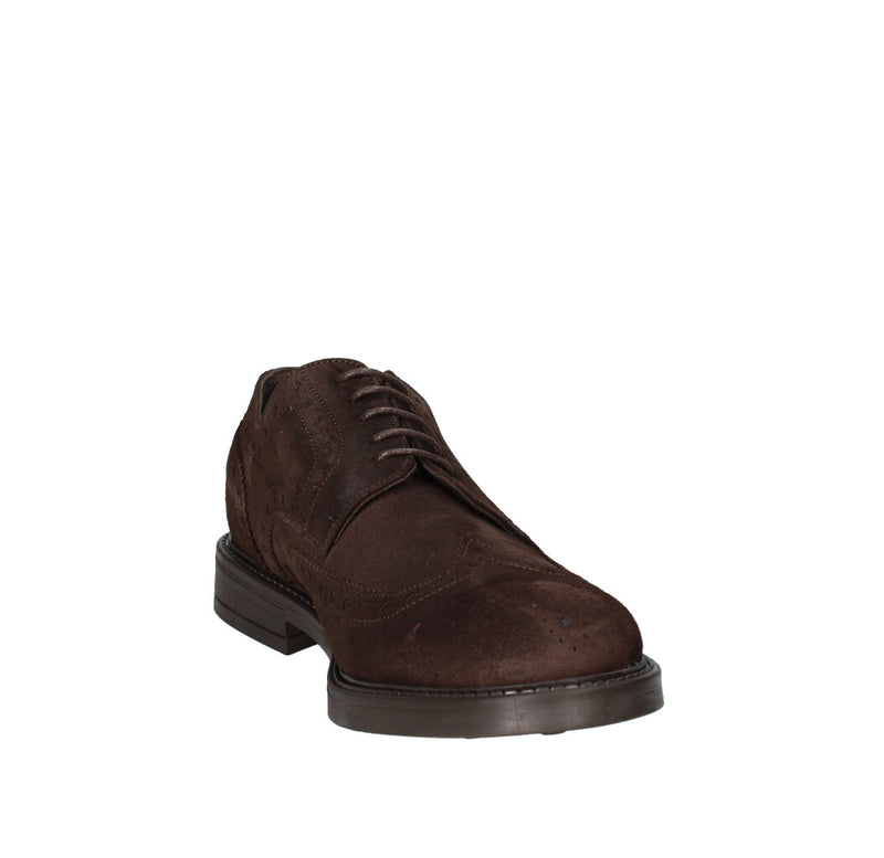 ARCURI FRANCESINA  AMA 02 T MORO