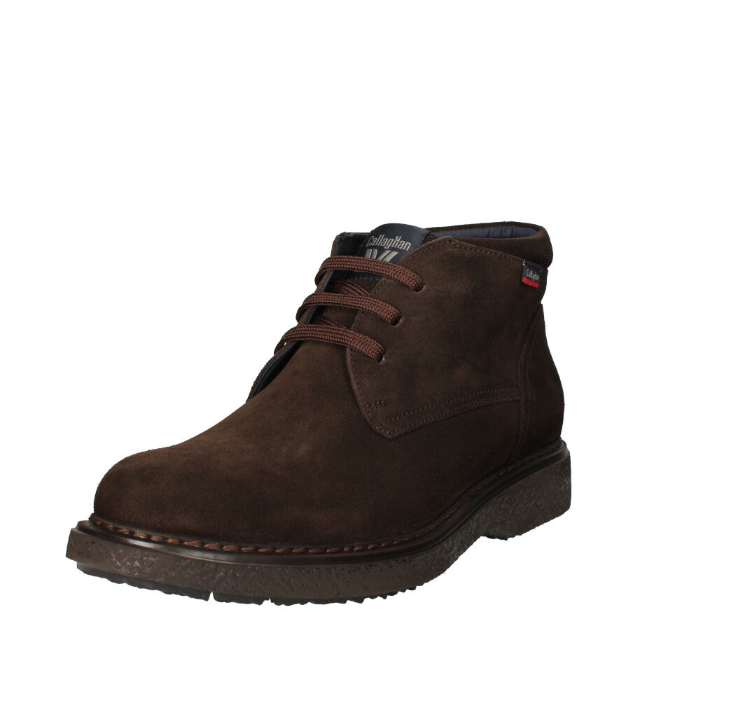 CALLAGHAN POLACCHINO  12302 T MORO