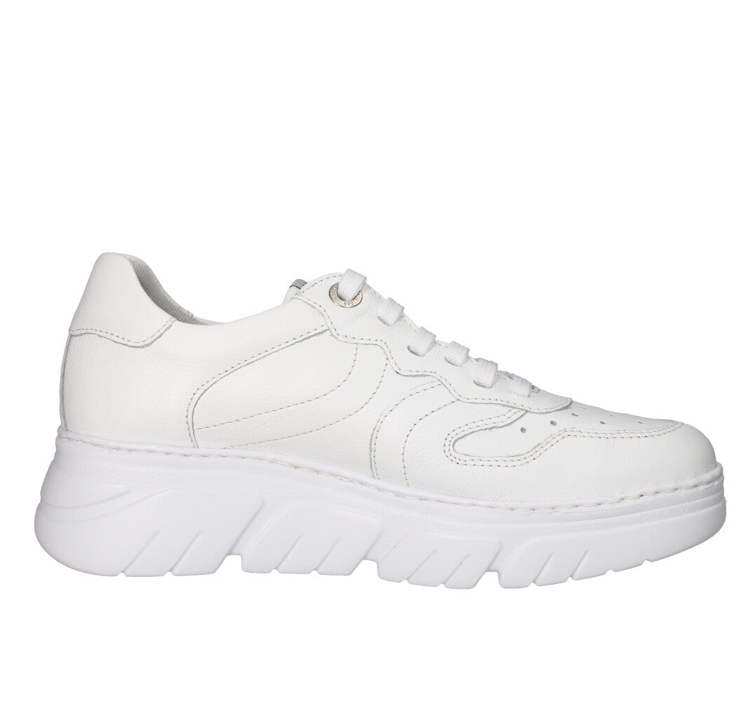CALLAGHAN SNEAKERS Donna 51809 BIANCO