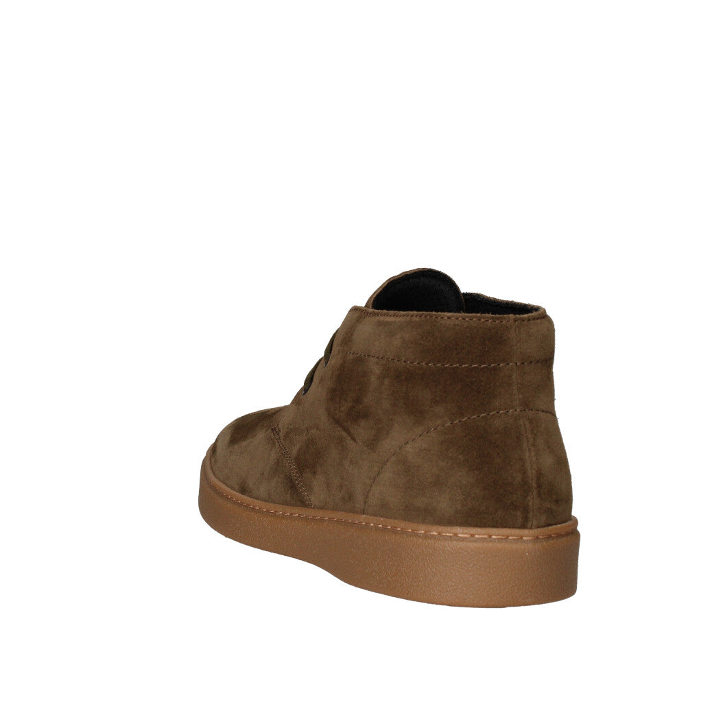 FRAU POLACCHINO  19A5 FELCE VERDE